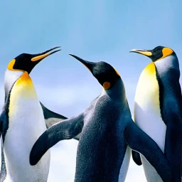 Icono de The Penguin