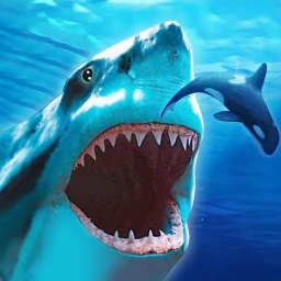 Icône de The Shark