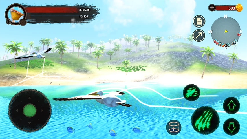 The Pelican screenshot