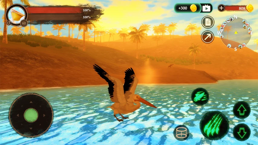 The Pelican screenshot