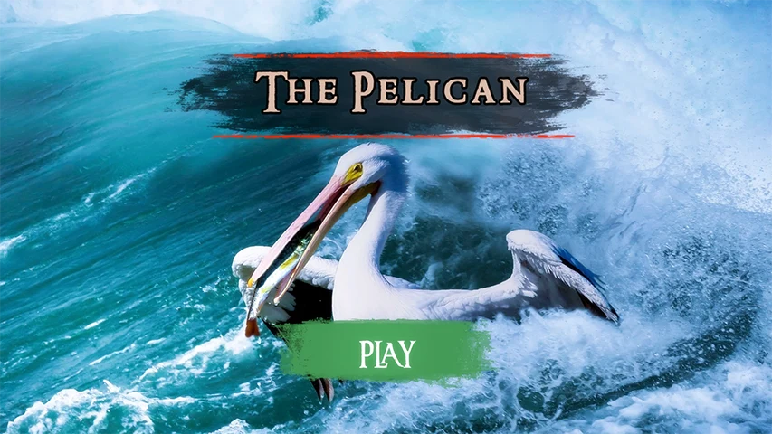 The Pelican screenshot