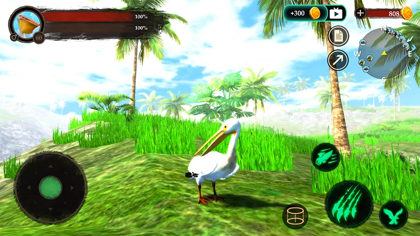 The Pelican screenshot
